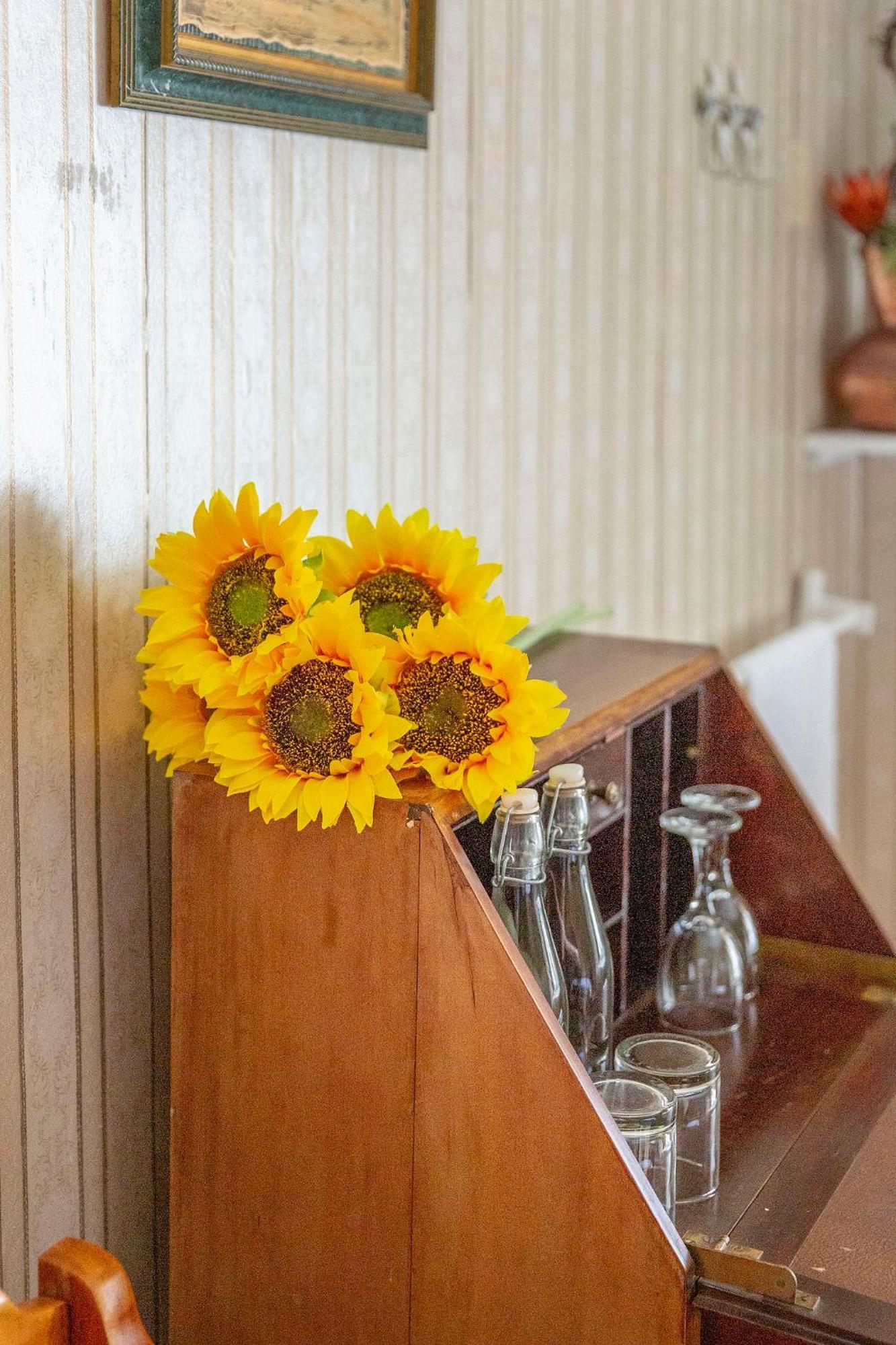Airlies Historical Guest House Монтегю Экстерьер фото